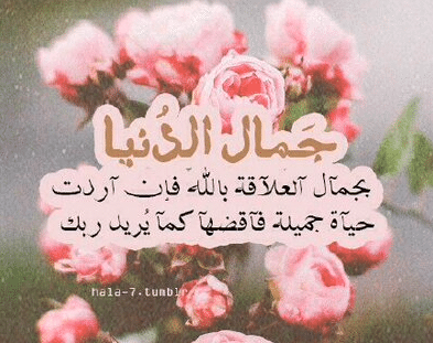 كلام ديني جميل عن الحياة