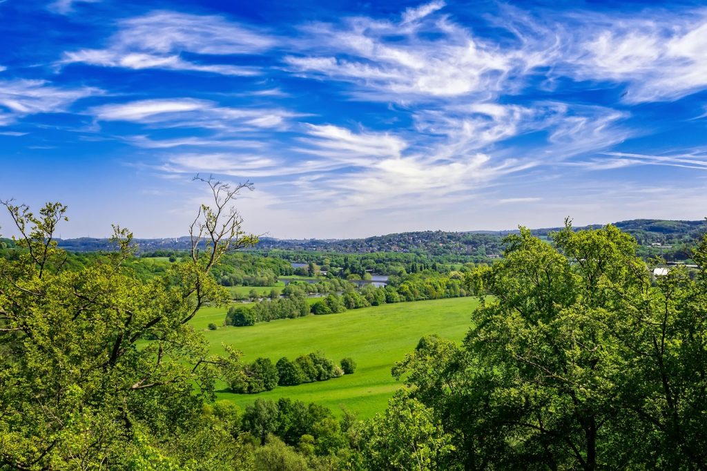 تعبير قصير مترجم عن الحياة في الريف countryside بالانجليزية والعربية