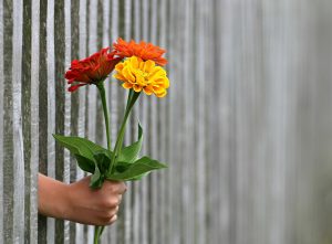 عبارات عن طيب القلب