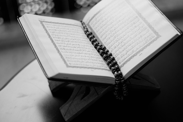 امثلة عن مد التمكين