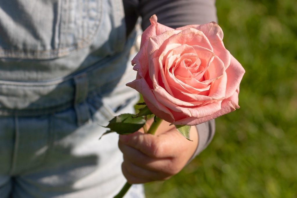 عبارات عن طيب القلب