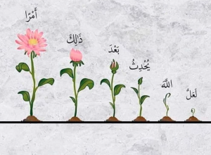 عبارات ترفع المعنويات