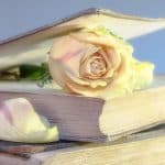 مقولات راقية